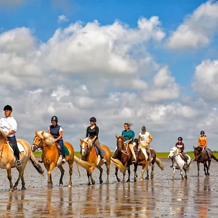 Gud Jard Nr 28 - Design-ferienhaus Mit Exklusiver Ausstattung Pellworm