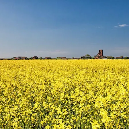 Casa vacanze Gud Jard Nr 28 - Design-ferienhaus Mit Exklusiver Ausstattung