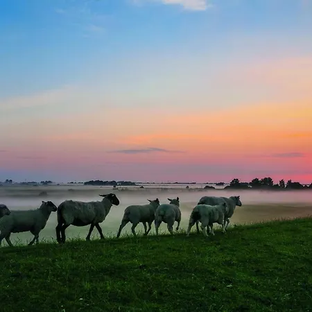Casa vacanze Gud Jard Nr 28 - Design-ferienhaus Mit Exklusiver Ausstattung *