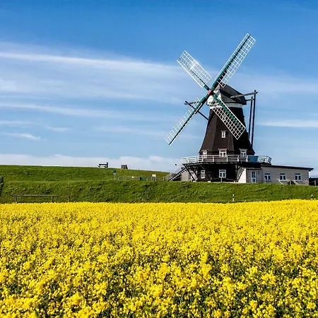 Gud Jard Nr 28 - Design-ferienhaus Mit Exklusiver Ausstattung Pellworm